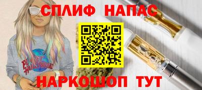 ECSTASY Камышлов