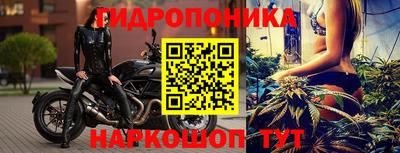 скорость Кандалакша