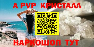 ECSTASY Камышлов