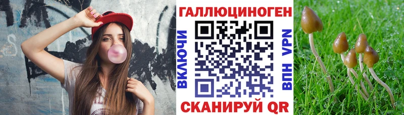 Галлюциногенные грибы Magic Shrooms  Новотроицк 