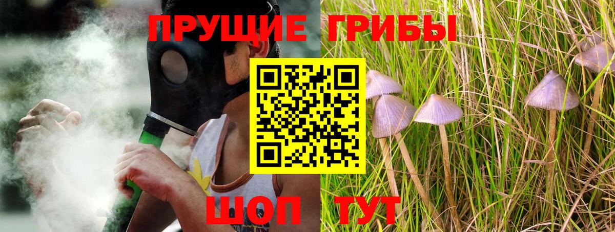 Псилоцибиновые грибы Psilocybe  Вход с VPN  Новотроицк 