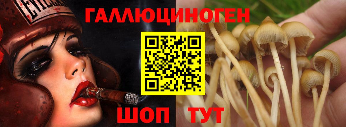 Псилоцибиновые грибы прущие грибы Новотроицк